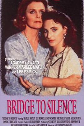 沉寂之桥HD国语