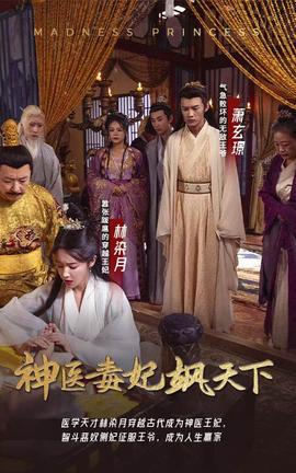 神医毒妃飒天下全集(大结局)